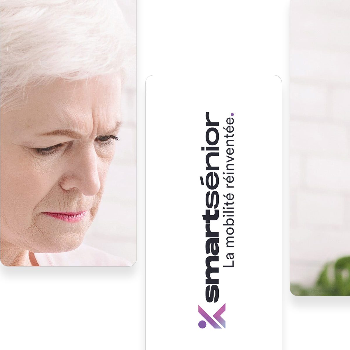 Ma Prime Adapt' Courtisols, 51460